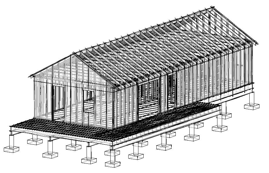 Shotgun House Framing