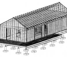 Shotgun House Framing