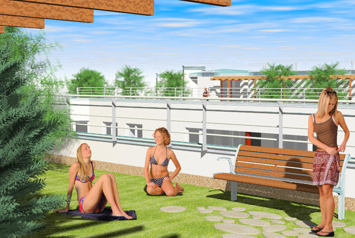 Roof garden.