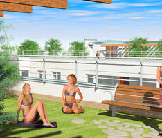 Roof garden.