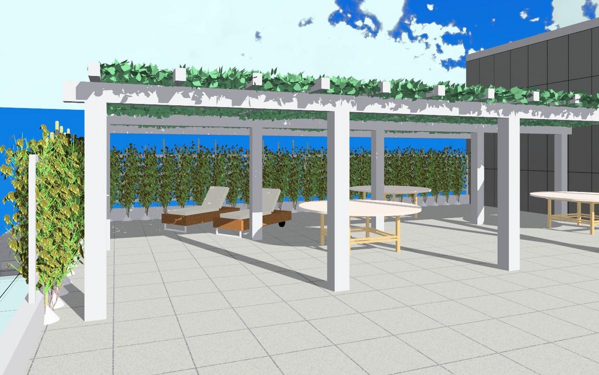 Roof Deck w/ Trellis
