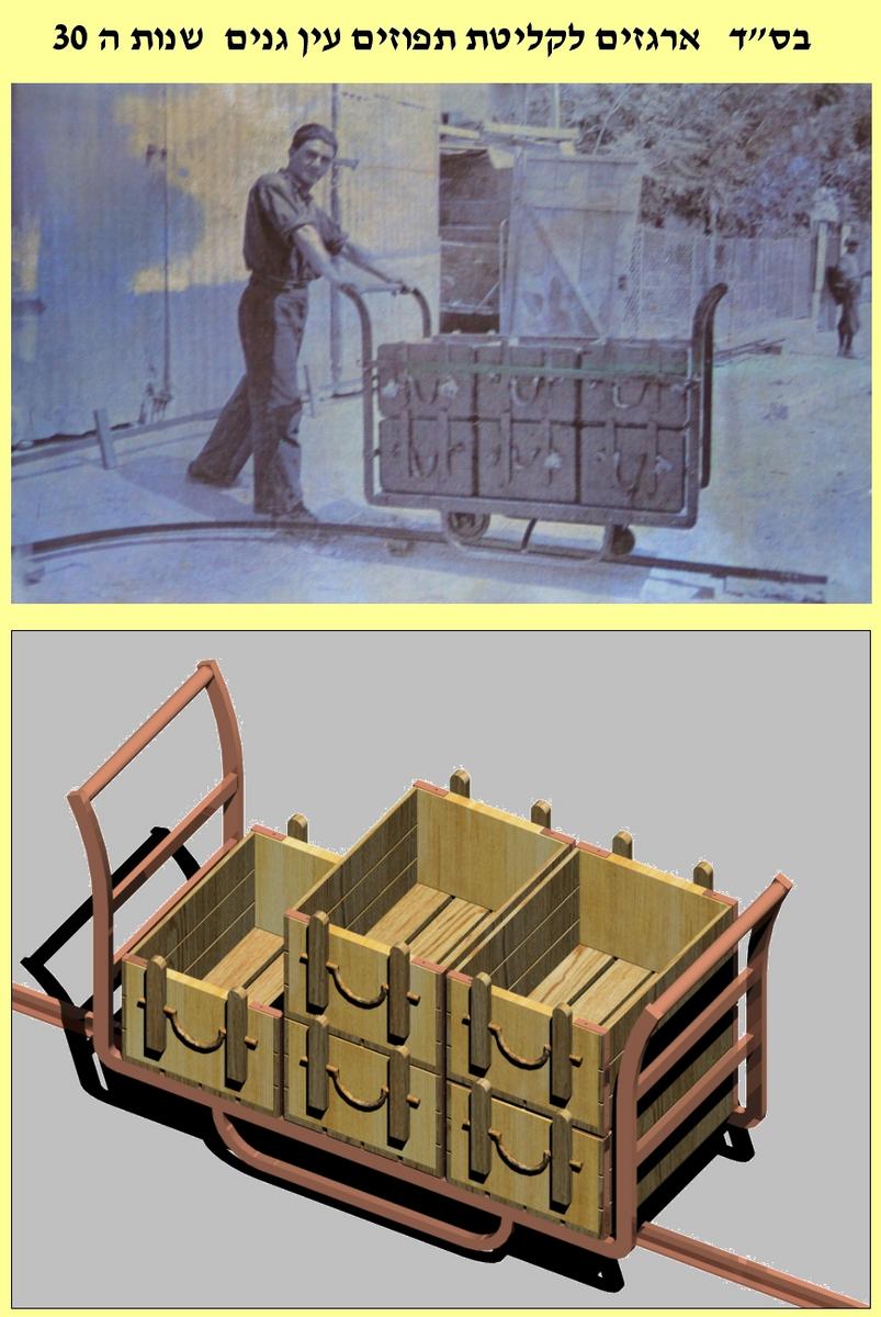 oranges  boxes