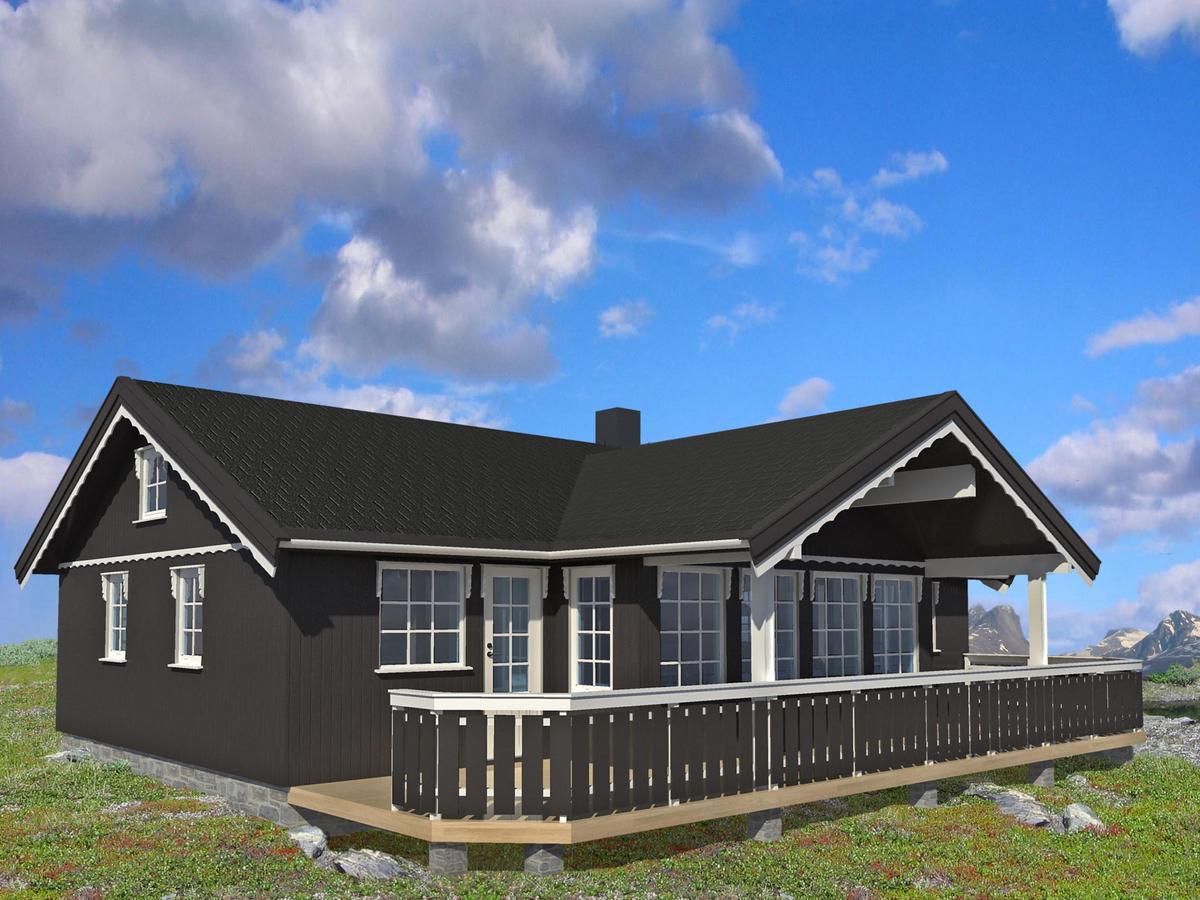 Nice litle cotage in Norway