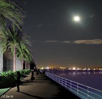 boardwalk