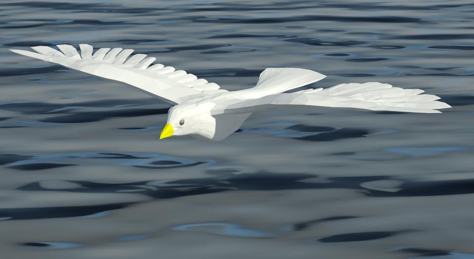 Bird