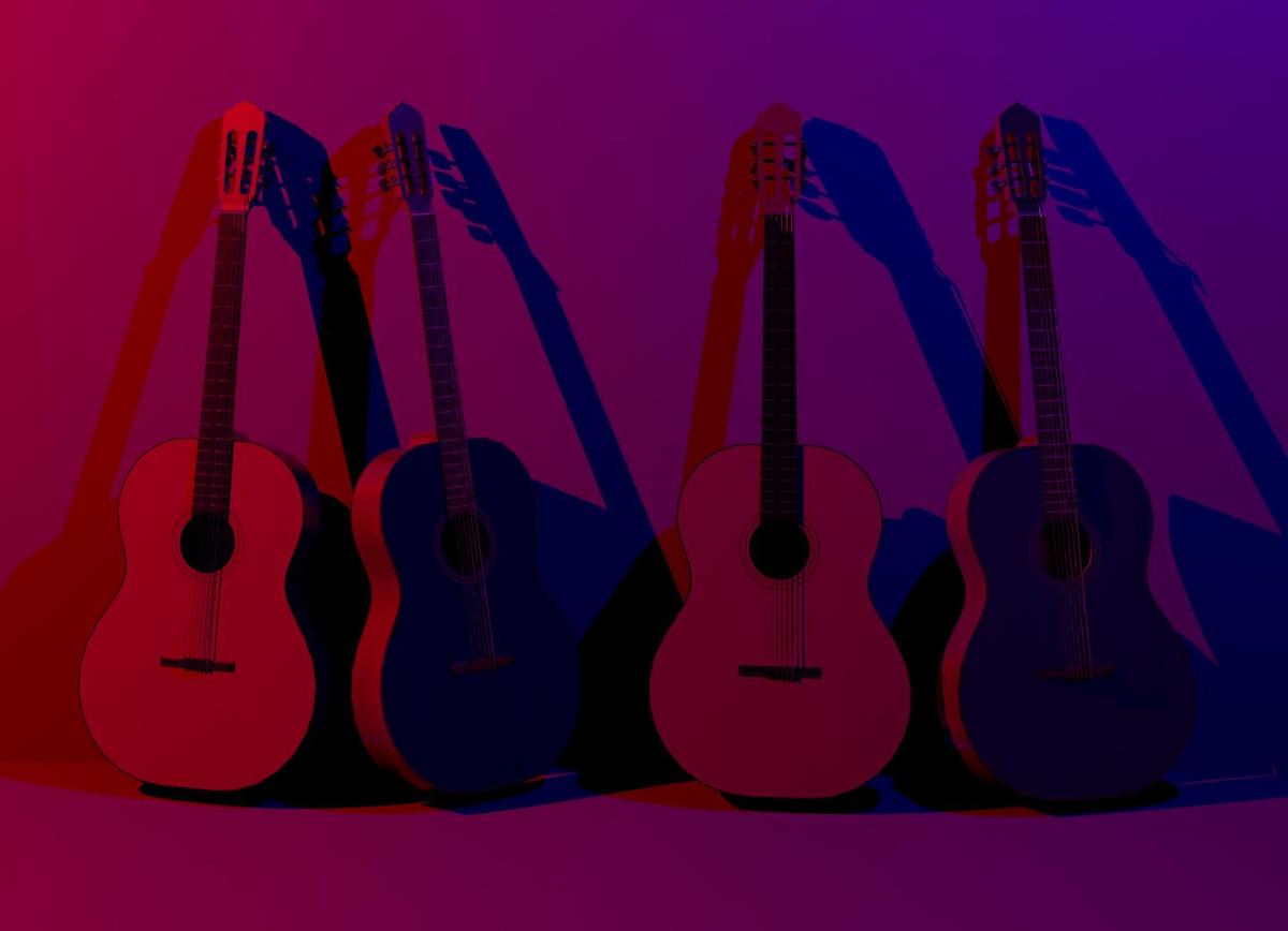 Guitar family
