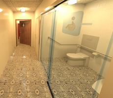 Handicap WC