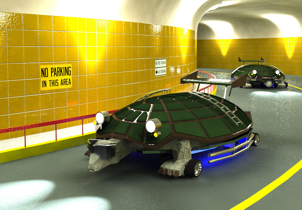Fast turtle