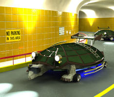 Fast turtle