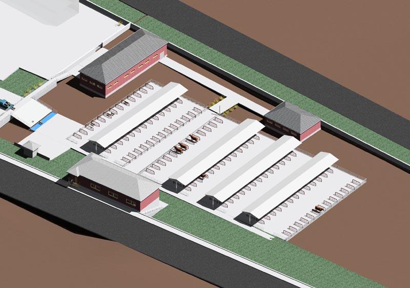 animal bazaar.first project with Revit
