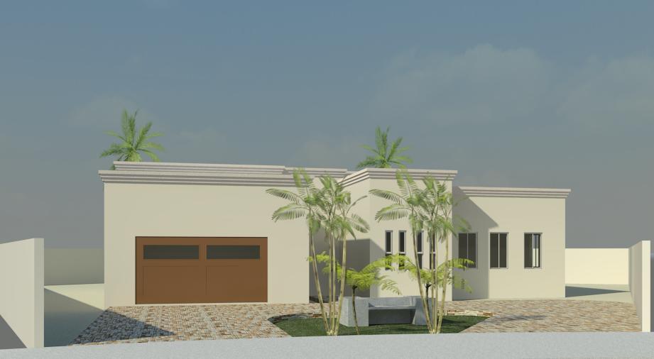 First rendering with rac 2010