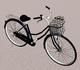 Bicycle Lady model
