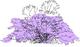 Trees - 2d Shrubs