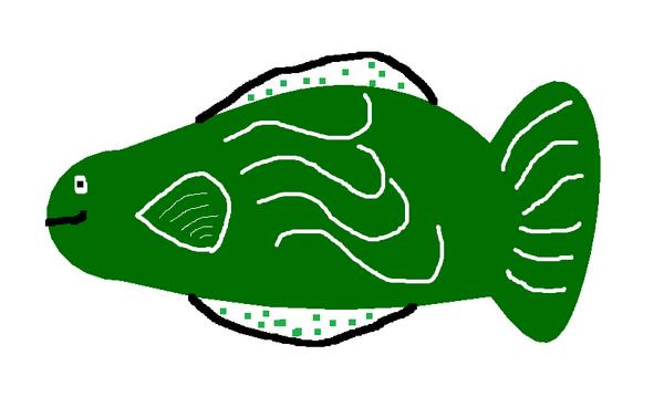 Fish