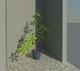 POTTED PLANT