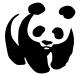 Oso panda!!