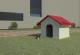 Dog house