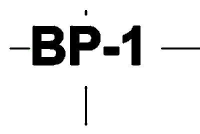 Braced Panel Tag