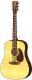 Acoustic Guitar