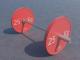 25 Kg Bumper Plate