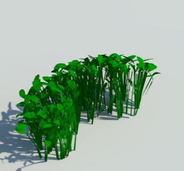 PLANT PLANTA