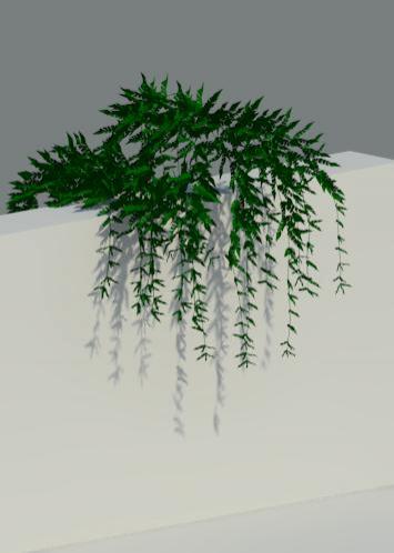 Plant 2