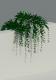 Plant 2