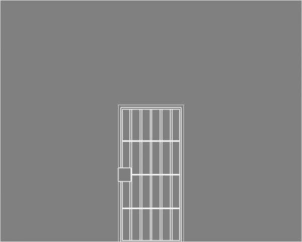 Security Storm Door