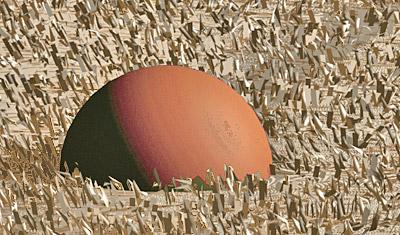 Carpet Hairy 3D