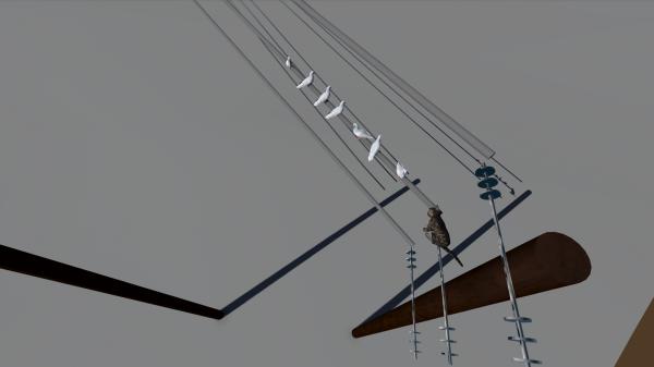 Single Electrical Timber Pole