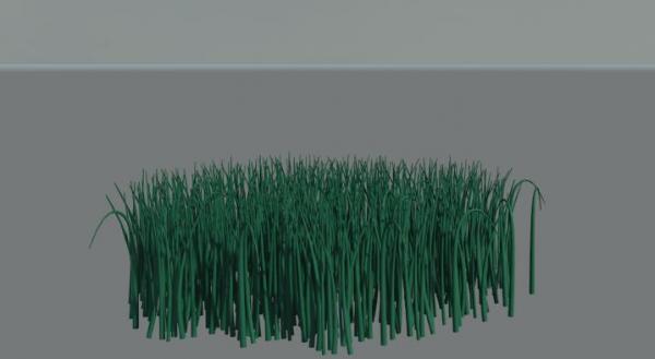 grass
