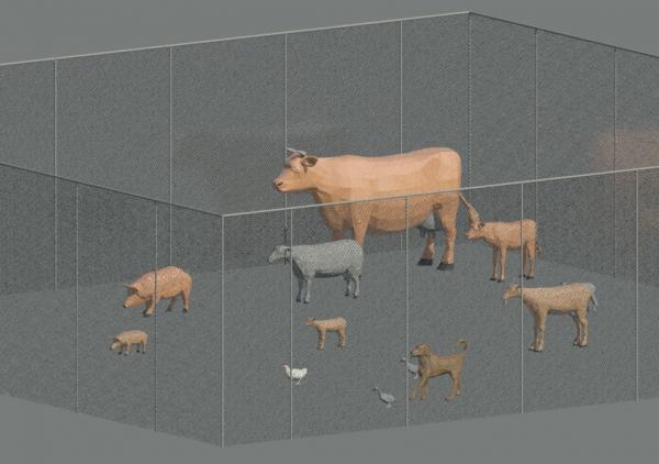 Caged in Animals