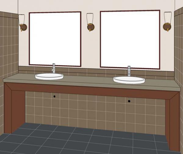 Specialty Sink(s) and Vanity