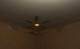 Ceiling Fan With Light