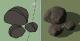 Simple, Scalable Rock/ Boulder