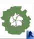 2d Detail component Tree plan