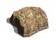 small rock / flat pebble