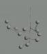 Aviance Light
