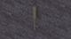 Baseball Bat
