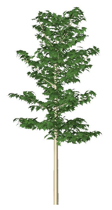 3d oak tree a_tree12bx