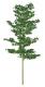 3d oak tree a_tree12bx