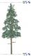 3d Tree a_conf18x