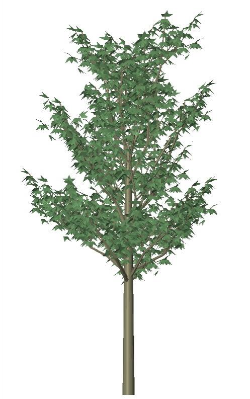 3d tree a_tree22x 3d trees