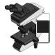 11 microscope binocular