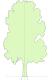2D Tree Elevation Parametric Scale with Height