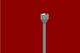 Scupper and Downspout