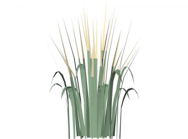 3d decorative grass