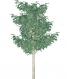 a 3d tree 61xs3