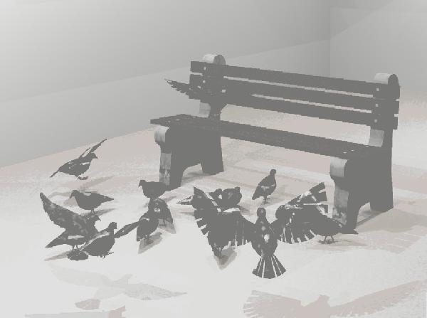 pidgeons