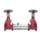 Watts Double Check Valve Assemblies - 757, 757N